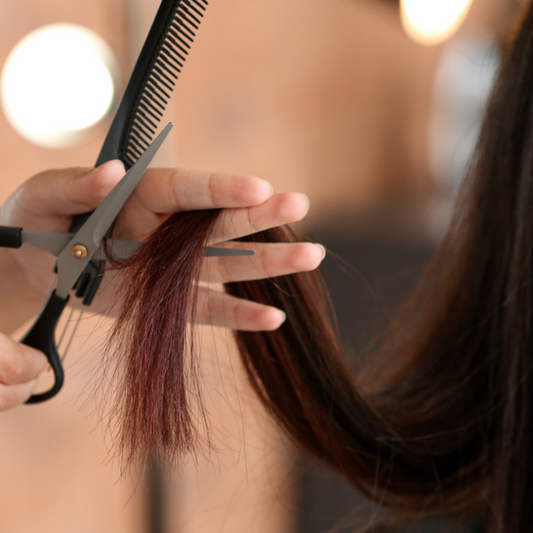 Hair Cut - Trim